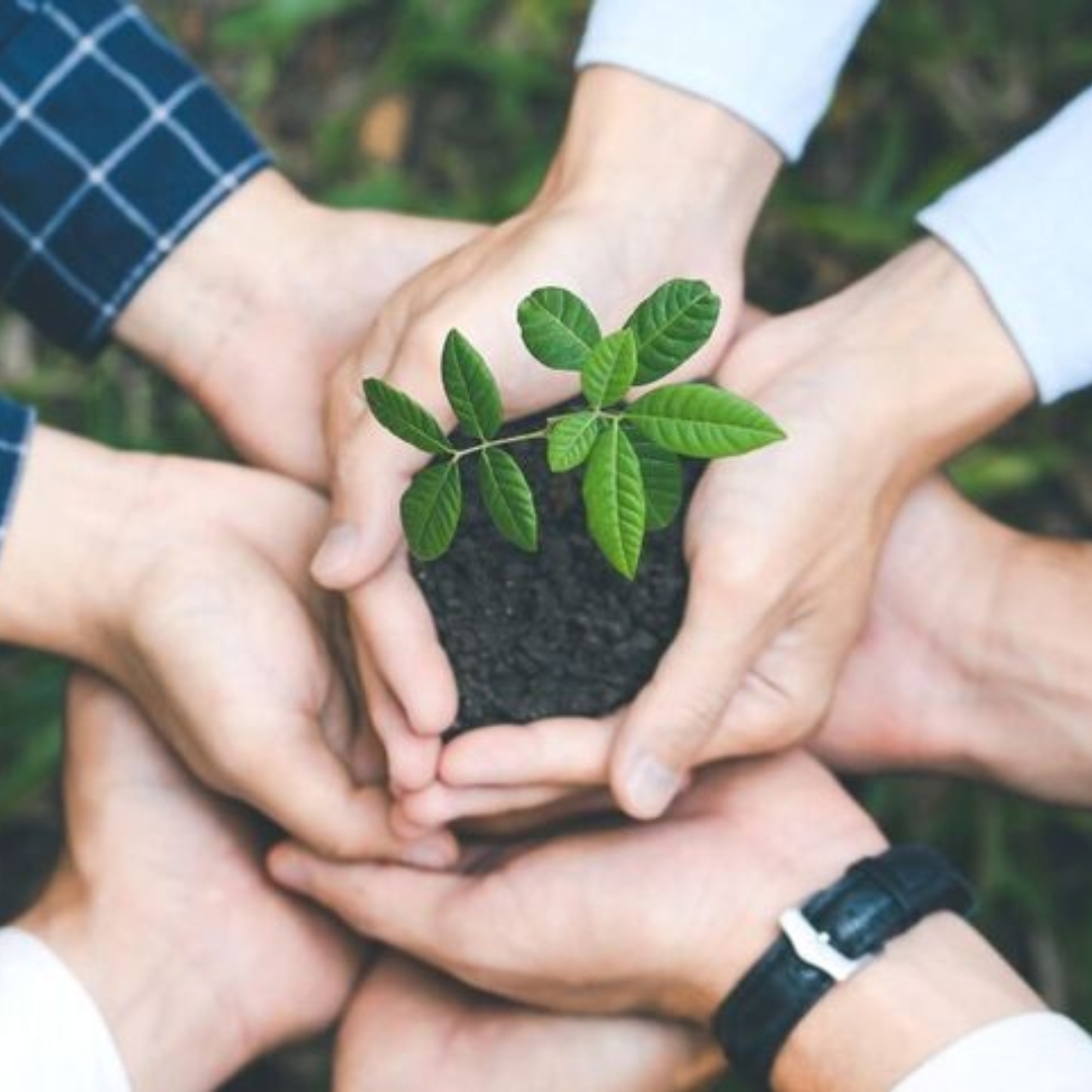 Fast collaborative growth