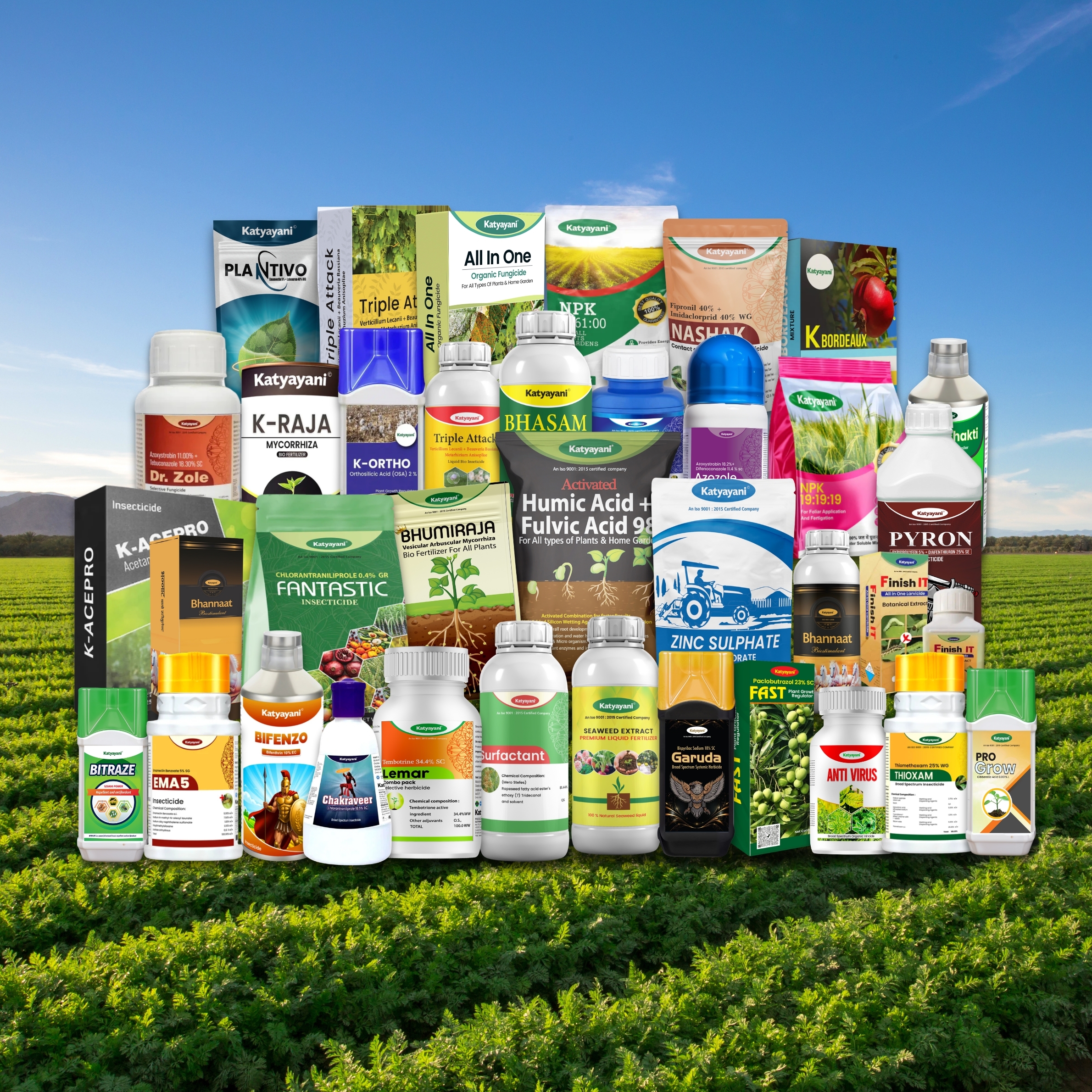 250+ Products